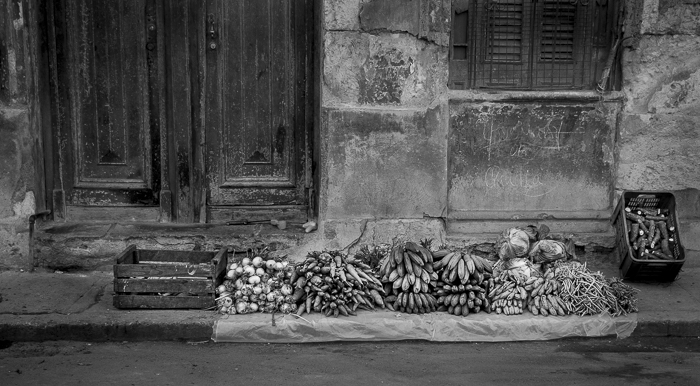 fruit on the side of the street